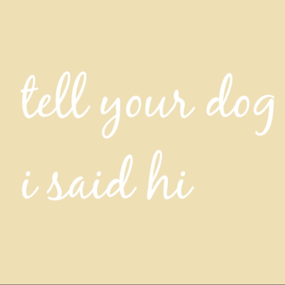 🌟Design House Pillow - Picture 6 of 16